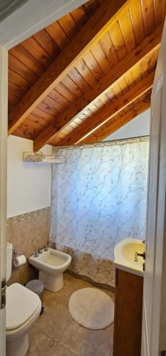 ein Badezimmer mit einer weißen Toilette und einem Waschbecken in der Unterkunft Departamentos Mirador del Maipú in San Martín de los Andes