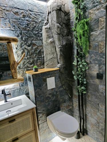 La salle de bains est pourvue de toilettes et d'un mur en pierre. dans l'établissement La Cabane, à Châteauroux