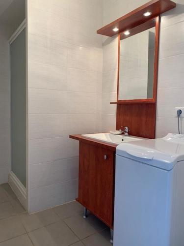 une salle de bain avec un lavabo et un miroir dans l'établissement NP610-A229 Appartement 3 pièces Narbonne Plage, à Narbonne-Plage