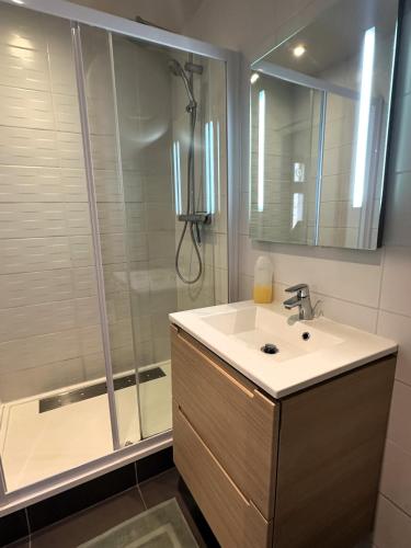 une salle de bain avec un lavabo et une douche dans l'établissement Côté Cathédrale - Grand studio Rue du Salé - Centre Historique, à Quimper