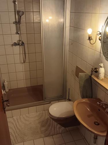 a bathroom with a shower and a toilet and a sink at Sonne in Halblech