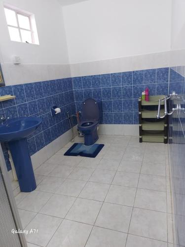 a bathroom with a blue toilet and a sink at Holiday Home close to the BEACH in Flic-en-Flac