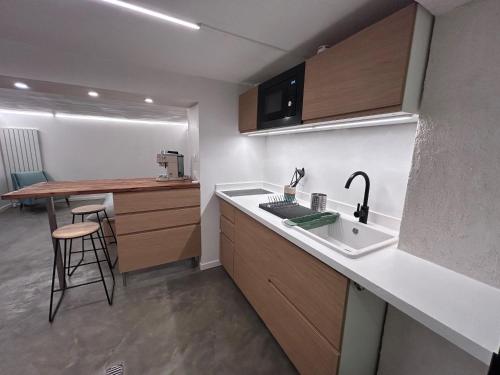 une cuisine avec un évier et un plan de travail dans l'établissement Casa Viva, à Sainte-Foy-lès-Lyon