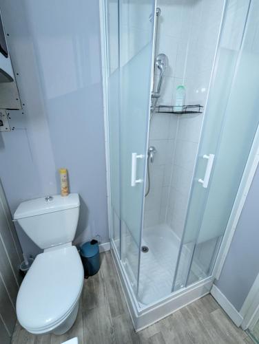 a bathroom with a shower and a toilet at Grands Studios Maillochon accès Gare de Poitiers et Centre ville à Pieds in Poitiers