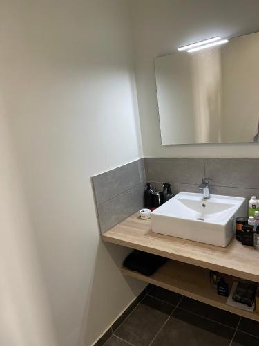 une salle de bain avec un lavabo blanc et un miroir dans l'établissement Appartement, à Saint-Étienne