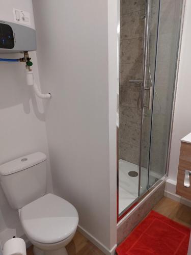 une salle de bain avec toilettes et douche dans l'établissement Agréable studio -1 personne, à Dijon