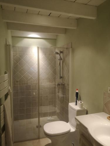 une salle de bain avec une douche avec des toilettes et un lavabo dans l'établissement Chambre indépendante avec salle de bains et cuisine, à Aubussargues
