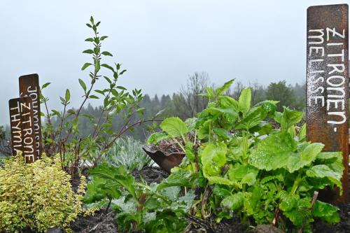 a garden with plants and signs in the dirt at Ferienhof Landerleben in Egg
