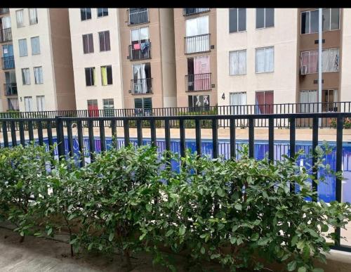ein Zaun vor einem Gebäude mit einem Busch in der Unterkunft Apartamento Dormitorio 2 in Santa Marta