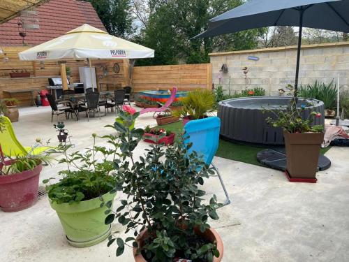 a patio with chairs and plants and an umbrella at La petite barque in Saint-Julien-de-Lampon