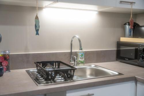 un évier de cuisine avec un égouttoir à vaisselle à côté dans l'établissement 3 04 appartement avec jardin et parking privé, à Pinchefalise