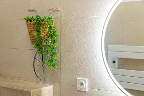 un miroir suspendu à un mur avec une plante dans l'établissement Domaine De Meyrol - Gite 1, à Eyguières