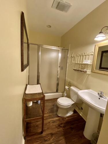 a bathroom with a shower and a toilet and a sink at Comal Inn in New Braunfels