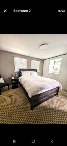 a bedroom with a large bed and two windows at Charming, cozy, one bedroom apartment in Lakeland