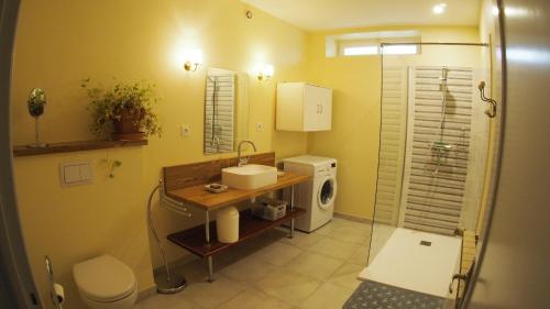 ein Badezimmer mit Waschbecken und Waschmaschine in der Unterkunft Aux rives du lac in Villefranche-de-Panat
