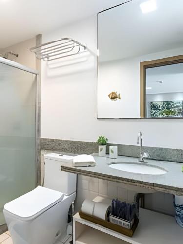 a bathroom with a toilet and a sink and a mirror at Flat no Marulhos Suites Resort - unidade C104 Térreo in Porto De Galinhas