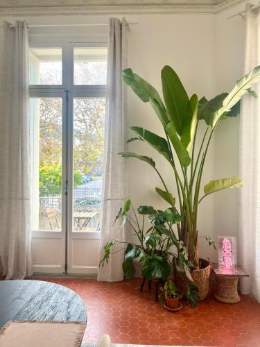 une chambre avec une plante en pot devant une fenêtre dans l'établissement L'échappée sètoise - Appartement Haussmannien - localisation exceptionnelle - proche canal, à Sète