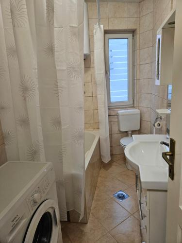 a bathroom with a sink and a washing machine at Velike Šume Apartment in Pale