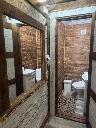 a bathroom with a toilet and two sinks at Живописні карпати in Slavske