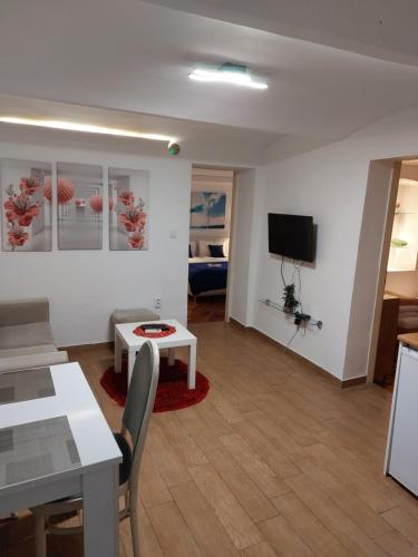 Un televizor și/sau centru de divertisment la Inter Apartment Belgrade with free Parking