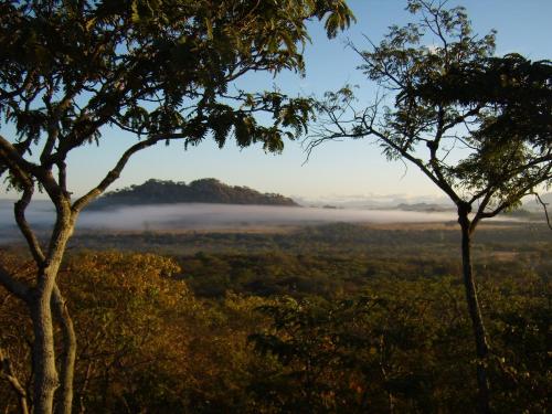 a view of a field with fog in the distance at Musangano Lodge in Odzi