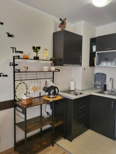 Kuchyň nebo kuchyňský kout v ubytování Апартамент С-59 в Апарт-хотел Боровец Гардънс