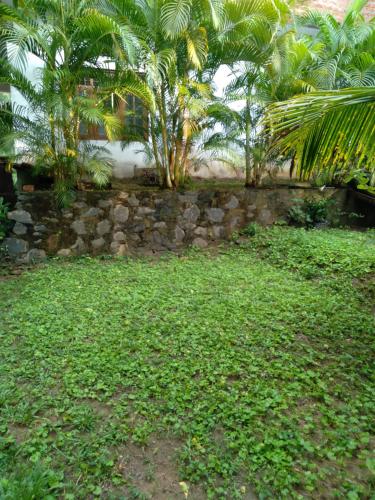 a stone wall in a yard with palm trees at Home in the Island in Tangalle