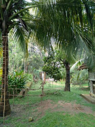 a yard with two palm trees and a house at Home in the Island in Tangalle