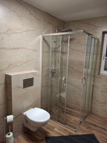 a bathroom with a shower and a toilet at Domki u seseta 2 in Kluszkowce