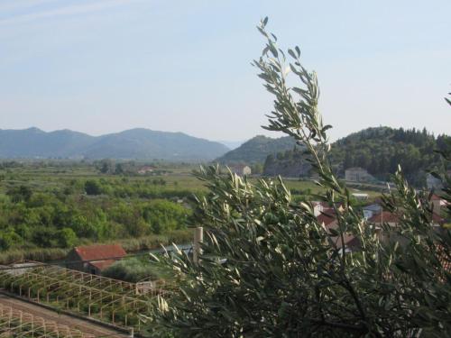 Příroda nedaleko apartmánu