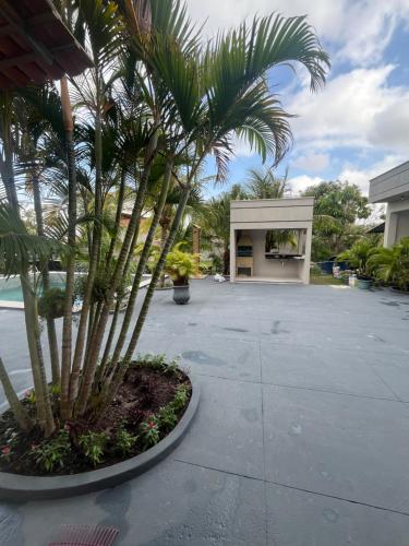 una palmera en un patio junto a un edificio en Villa Rocha mar, en São José de Ribamar