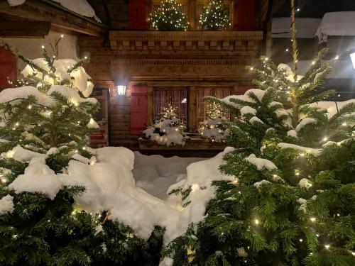 een kamer met met sneeuw bedekte bomen en kerstverlichting bij Apartment Kandahar 42 in Crans-Montana