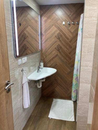 a bathroom with a sink and a mirror at chata Viňanka in Michalovce