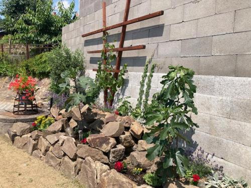 a garden with rocks and plants in front of a wall at chata Viňanka in Michalovce