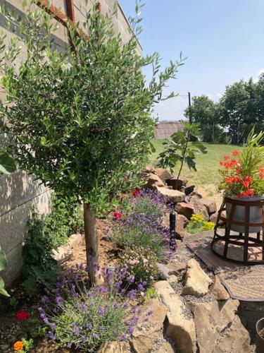 a garden with a tree and some flowers at chata Viňanka in Michalovce