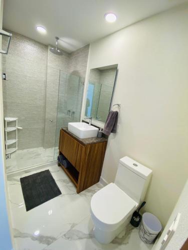 a bathroom with a toilet and a sink and a mirror at Quinta San Miguel Ocean & Canal in Nuevo Vallarta