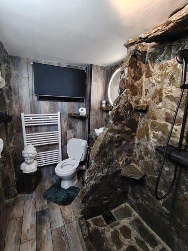 a stone bathroom with a toilet and a stone wall at Casa Anne Boutique in Braşov