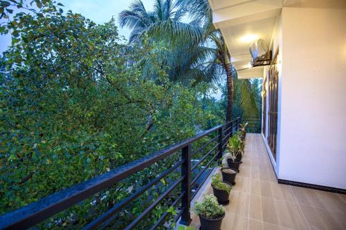 Taman di luar Opulent Oasis