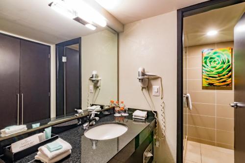 a bathroom with a sink and a mirror at Hotel Lucerna Tijuana in Tijuana