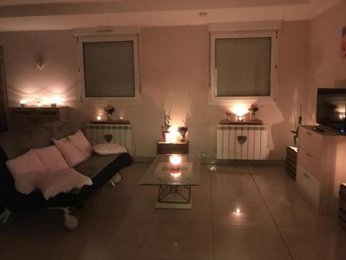 un salon avec un canapé et une télévision dans l'établissement Gîte nid douillet, à Gerstheim