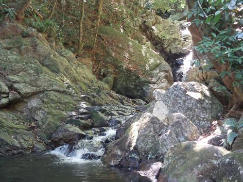 a stream of water with rocks in a forest at Suite dos pássaros in Ilhabela