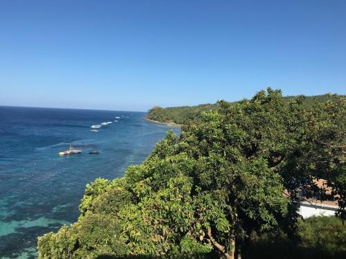 a river with a tree and a boat in the water at Noor Villa - Luxury 3 Bed, 2 Bath Apartment with Stunning Panoramic Sea View, Private Beach in Pinamihagan