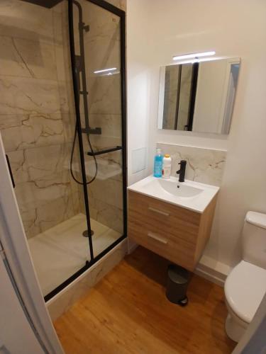 une salle de bain avec une douche, un lavabo et des toilettes dans l'établissement Comfortable studio pour 2 personnes, à Dijon