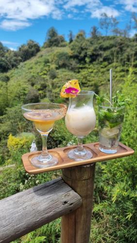 two drinks on a wooden table with a flower on it at Levit Glamping - Hotel Guatapé Peñol in Guatapé