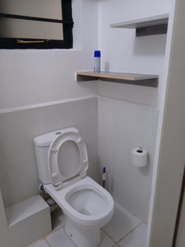 a white bathroom with a toilet and a shelf at Perfect Hideaway in Rungiri