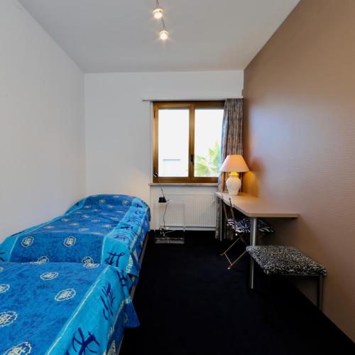 a room with a bed and a desk and a window at Ferienwohnung D28 in Orselina