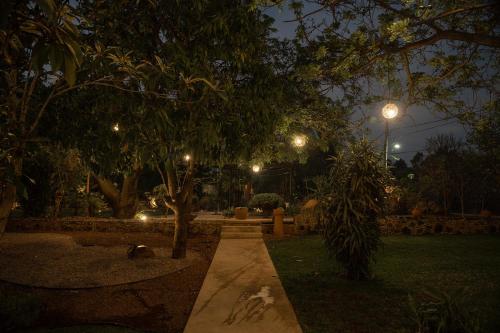 a park at night with a bench and lights at Casa Chavela in Tepoztlán