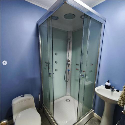 um banheiro com chuveiro, vaso sanitário e pia em Aventura Patagonica 4 em Punta Arenas