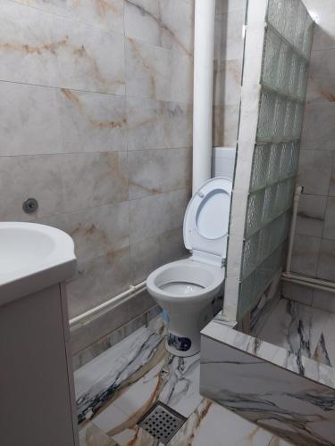 Afbeelding uit fotogalerij van Pensiunea Nicol Tulcea in Tulcea