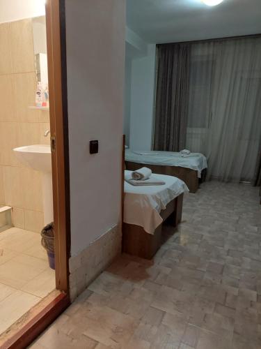 Afbeelding uit fotogalerij van Pensiunea Nicol Tulcea in Tulcea